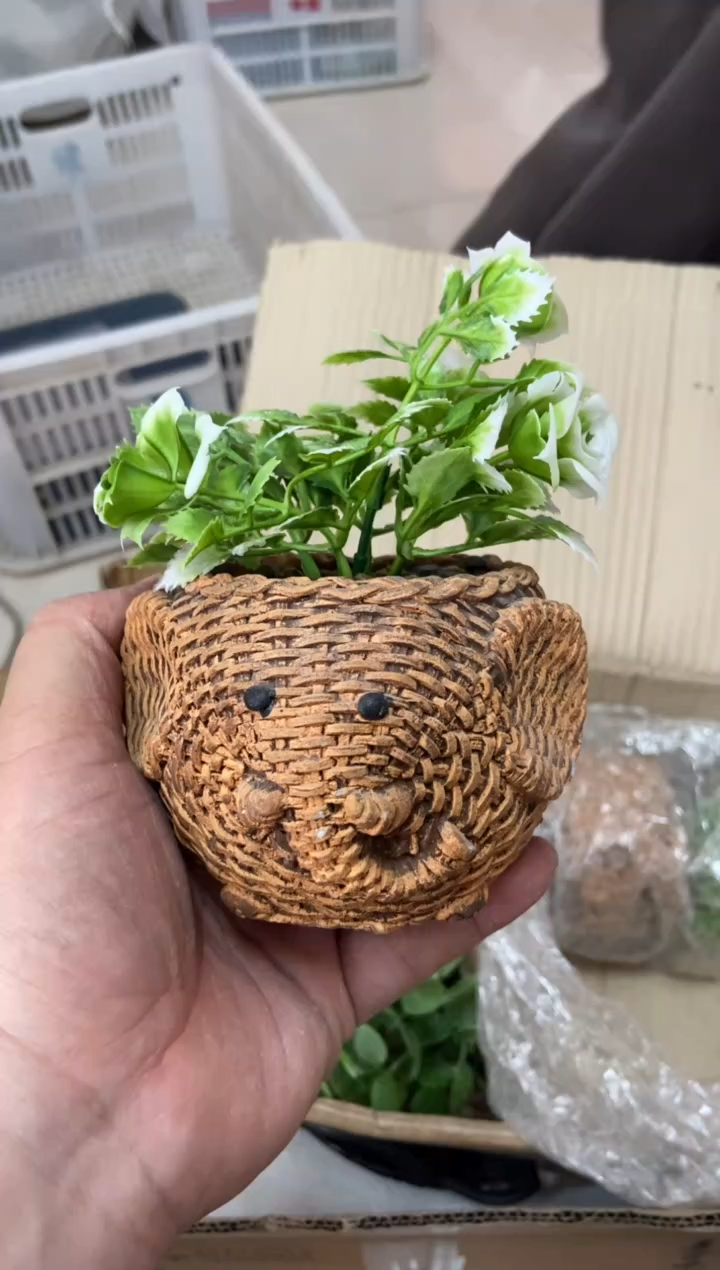 【闪购商品】无运费险略有微瑕介意勿拍