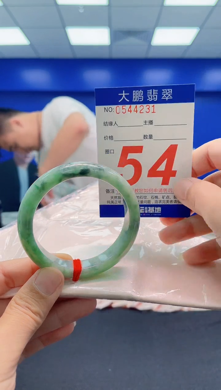 未镶嵌手镯翡翠AAAAAAAAA