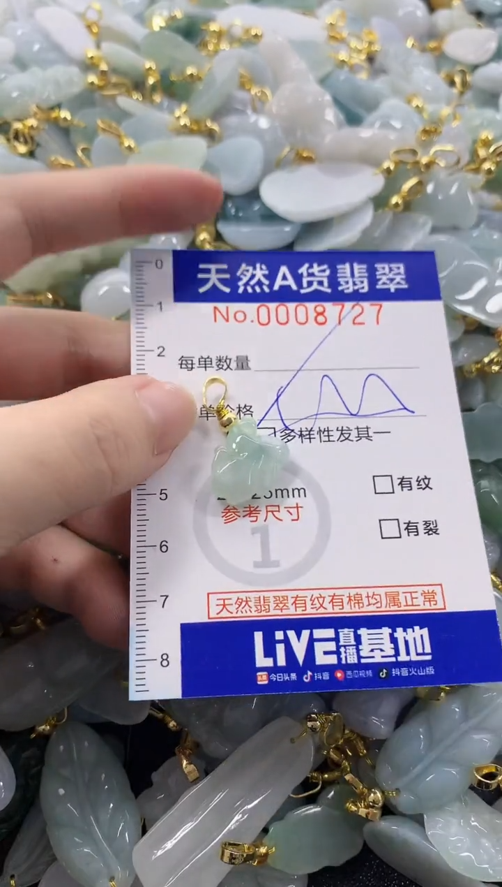 颈饰未镶嵌翡翠天然A货翡翠