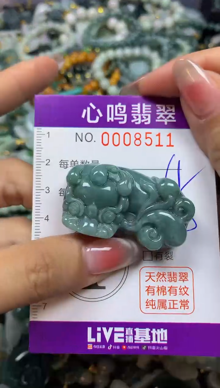 【闪购商品】翡翠颈饰未镶嵌闪购008511