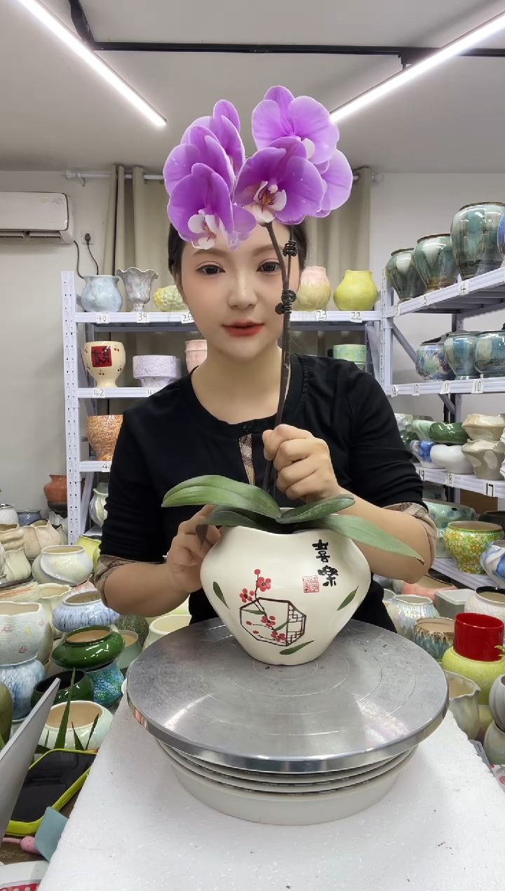 【12.31】花盆链接高： 14 口：11