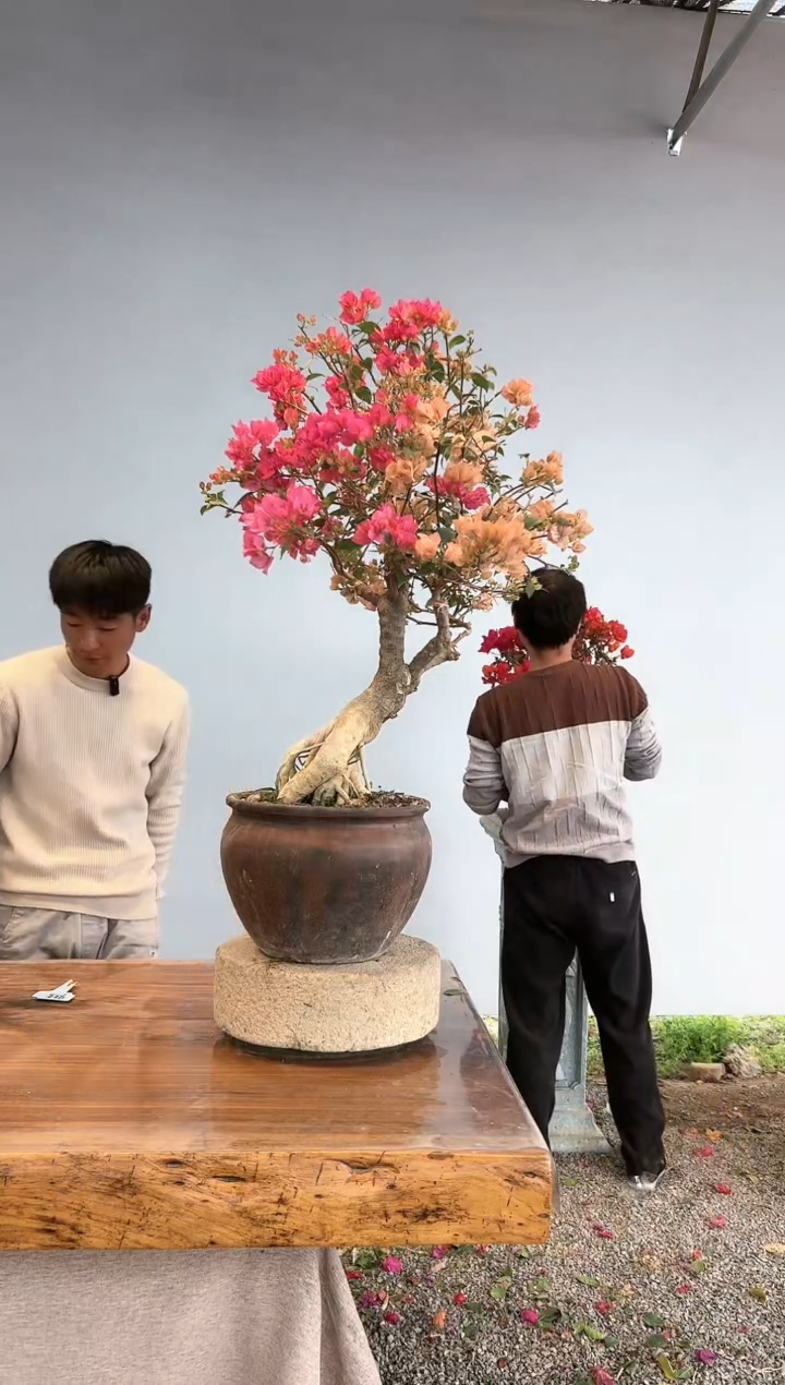 【闪购商品】aa920