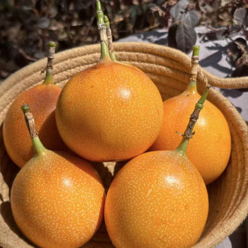 顺丰京东（空运）海南三亚精品热情果