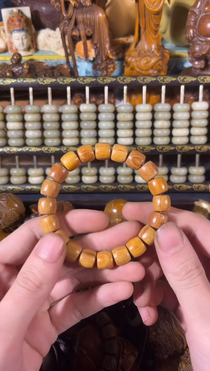 黄杨木11111111111