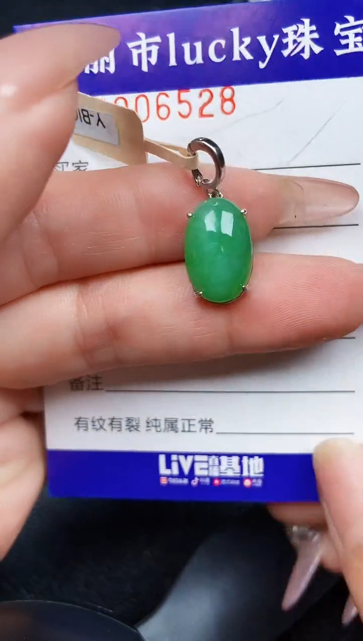 翡翠银S925镶嵌颈饰6528