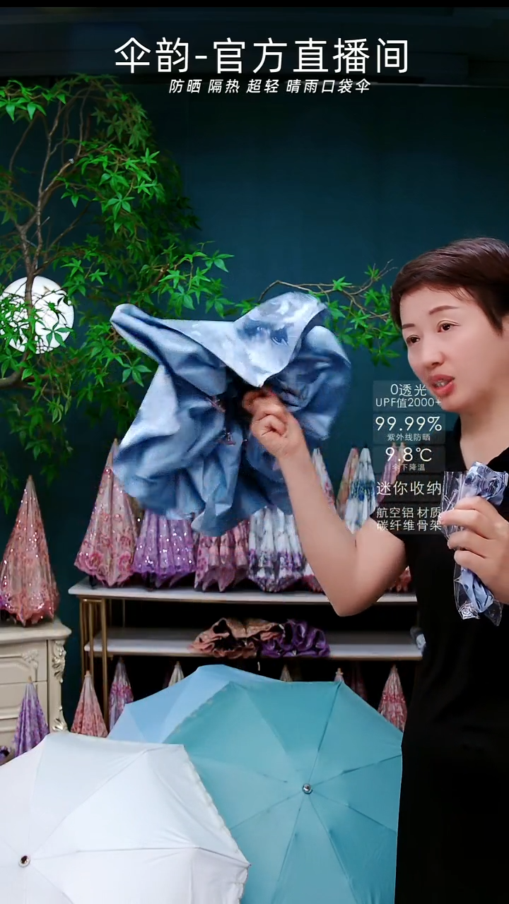 浅蓝小五折金杆遮阳