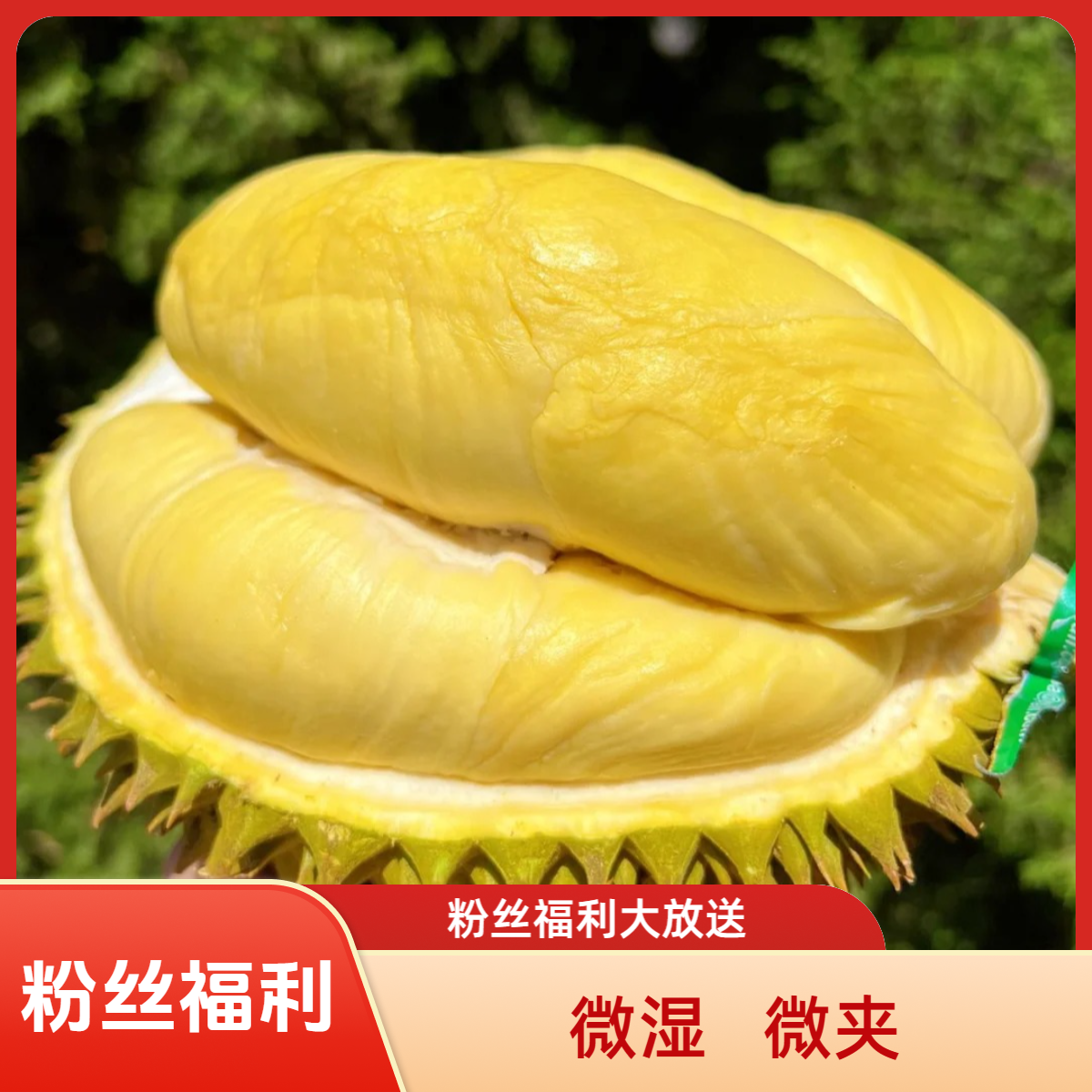 粉丝福利（微湿/微夹）【珠海同城】新鲜泰国树熟金枕榴莲核小榴莲同城配一果一重金枕泰国