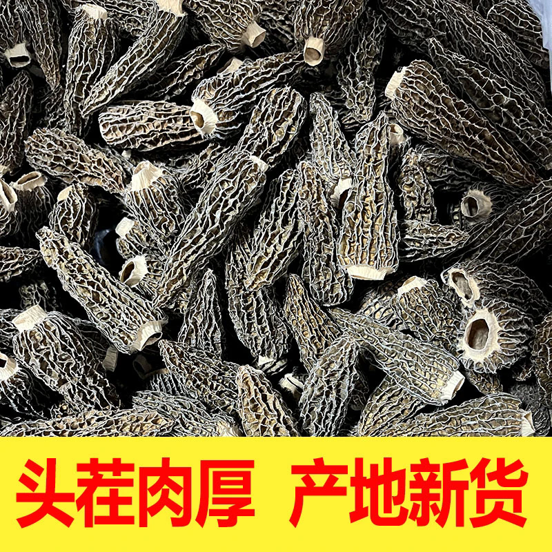 新货光帽羊肚菌 肉厚优质煲汤营养 剪脚香味干货菌菇煲鸡汤 包邮