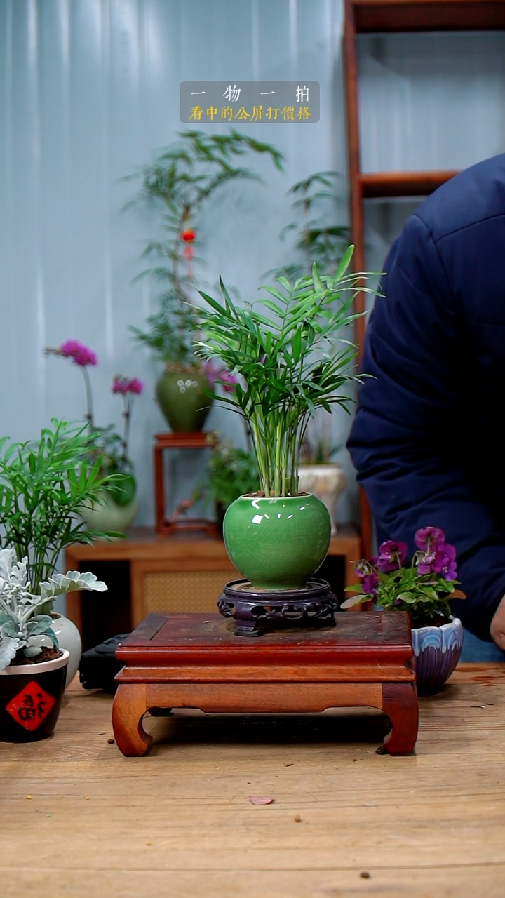 完全开放3*@椰子250