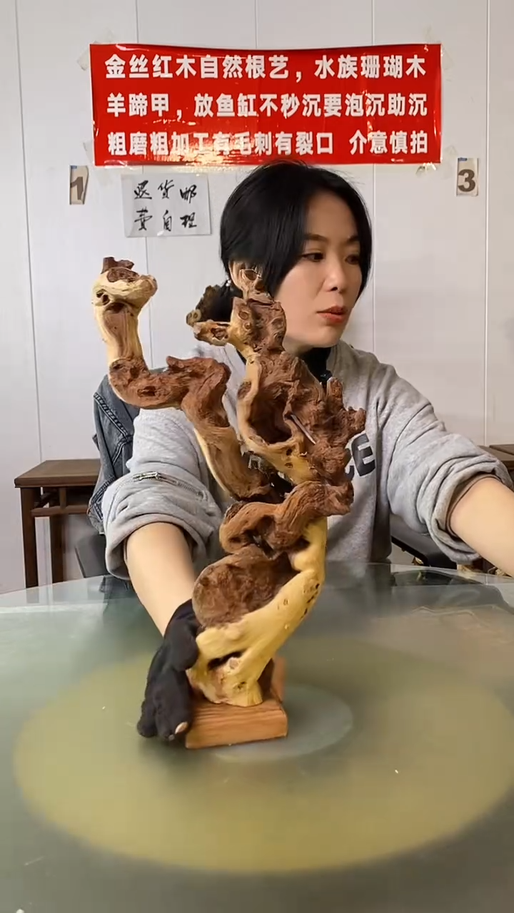 木宋****。金丝红木  羊蹄甲