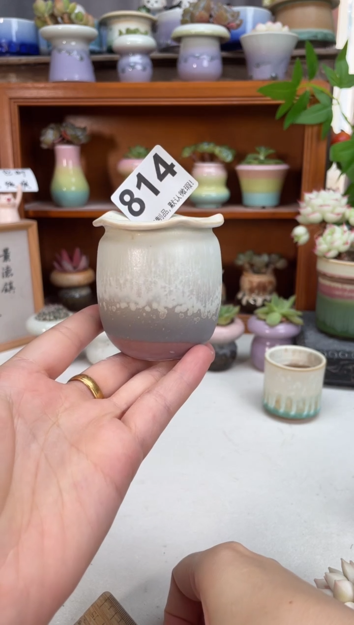 瓷片814知木小芳花盆