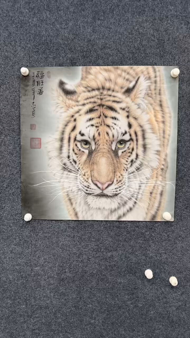 【闪购商品】国画2.16-郑志宗-斗方动物老虎-81