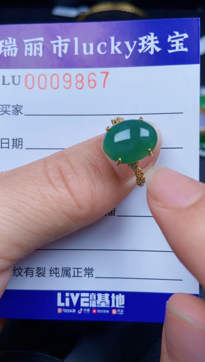 【闪购商品】翡翠颈饰银S925镶嵌9867