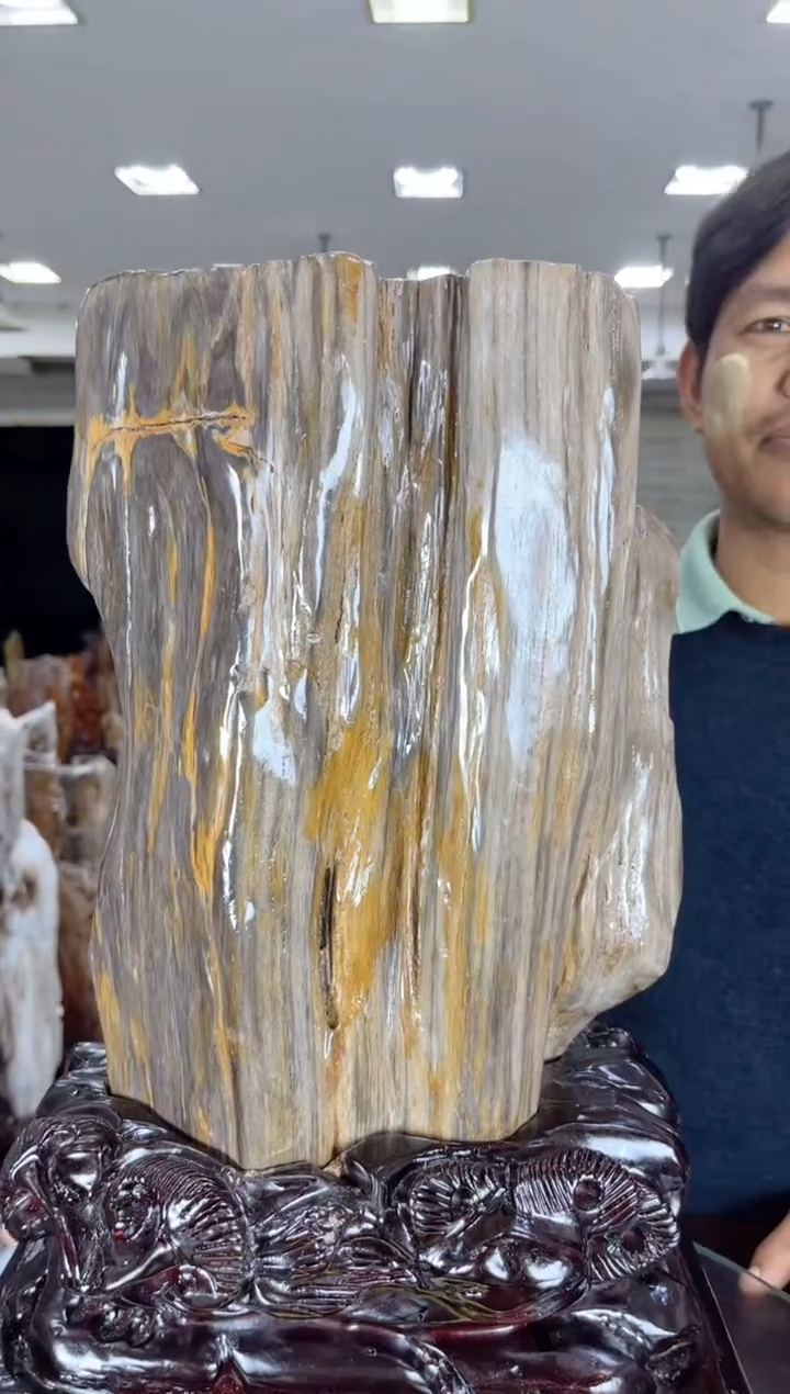 【闪购商品】硅化玉珠宝奇石未镶嵌缅甸天然树化玉