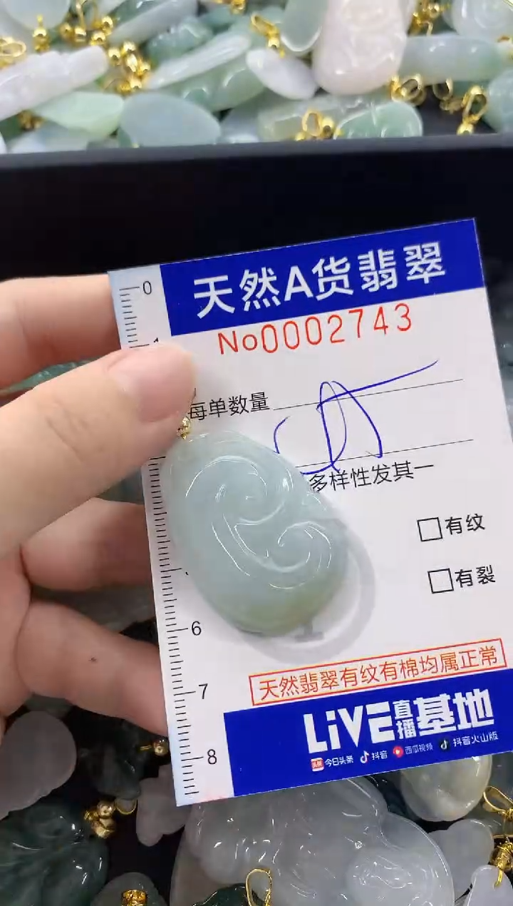 颈饰未镶嵌翡翠天然A货翡翠