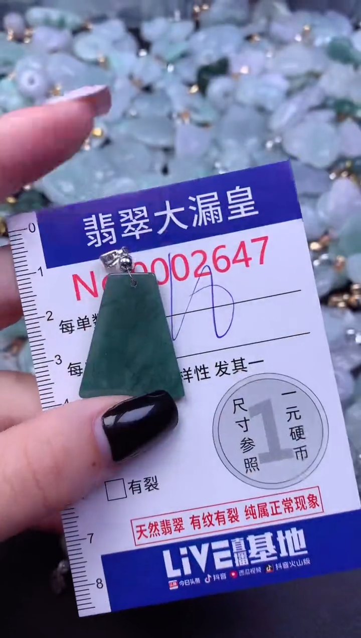 颈饰未镶嵌翡翠2647