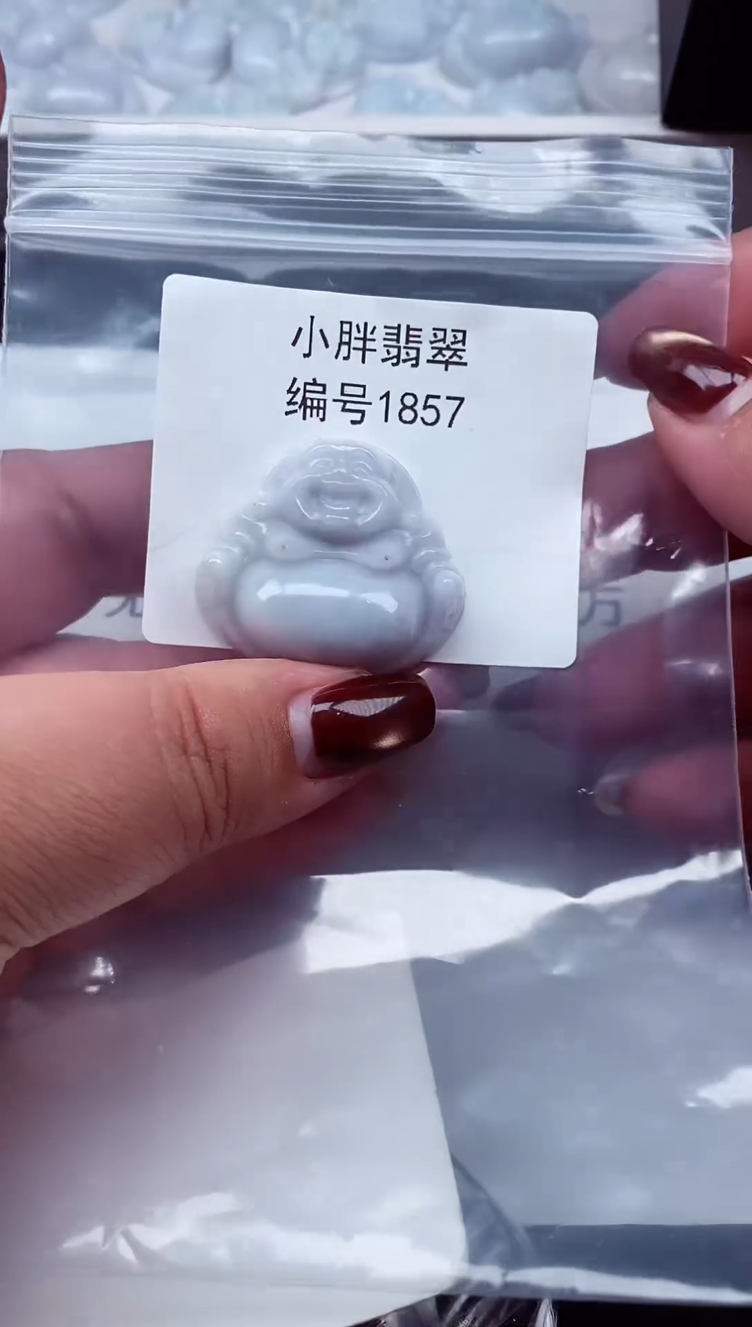 颈饰未镶嵌翡翠缅甸天然A货翡翠1857