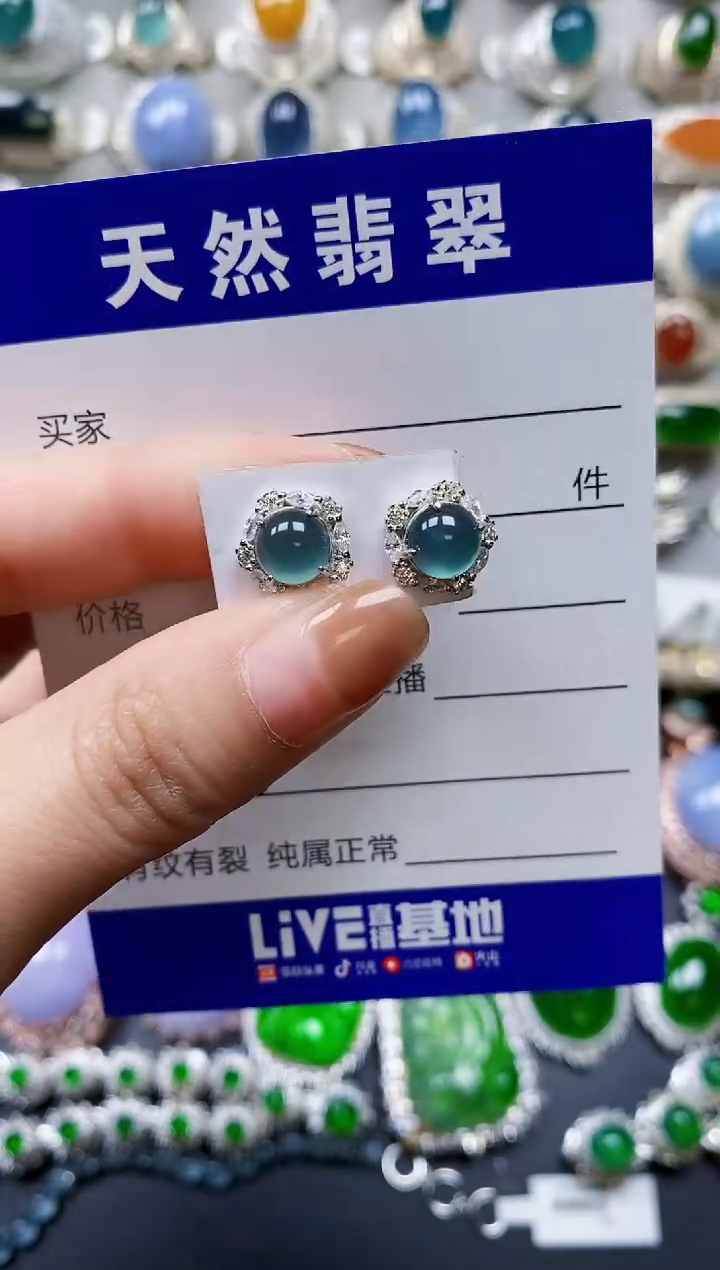 【闪购商品】翡翠耳饰银S925镶嵌0168