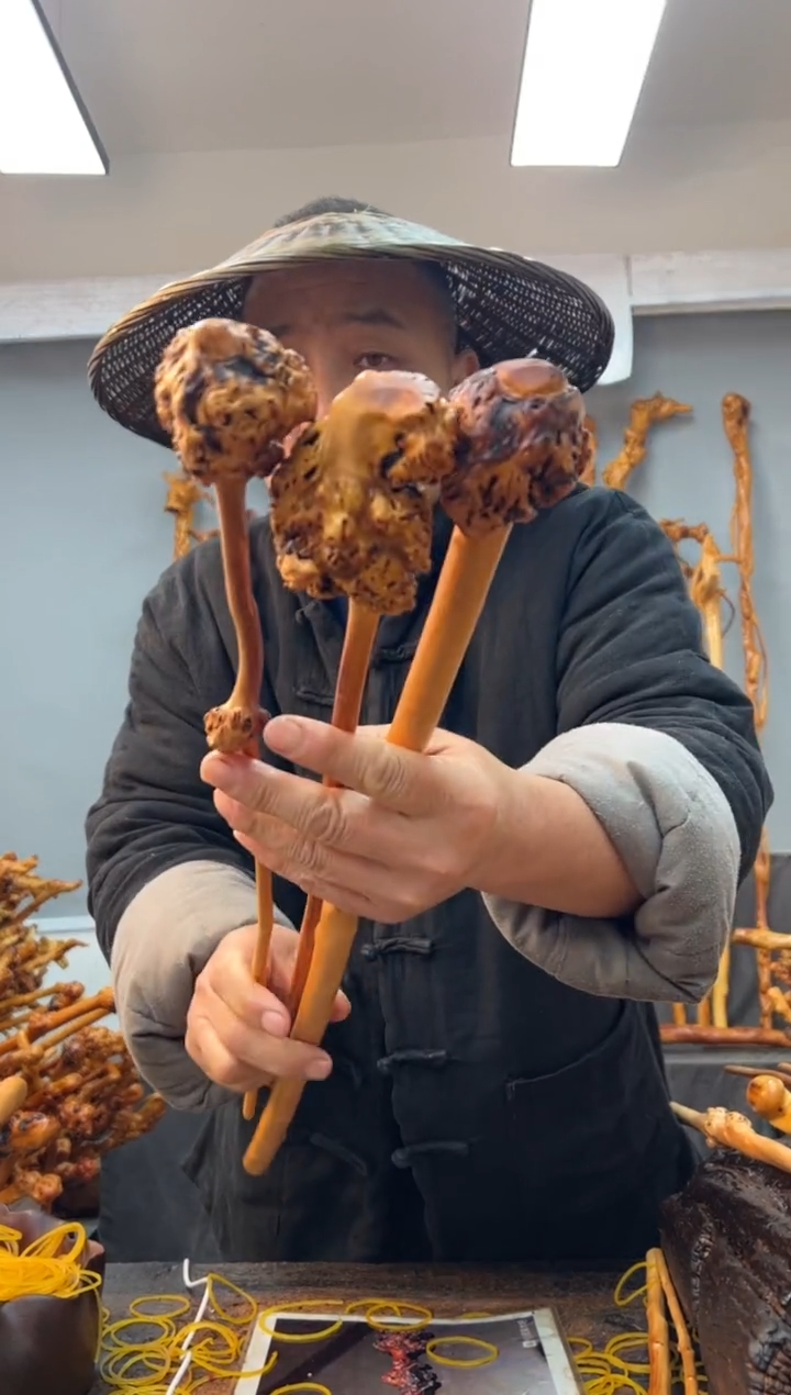 【闪购商品】黑果木其他黑果木274