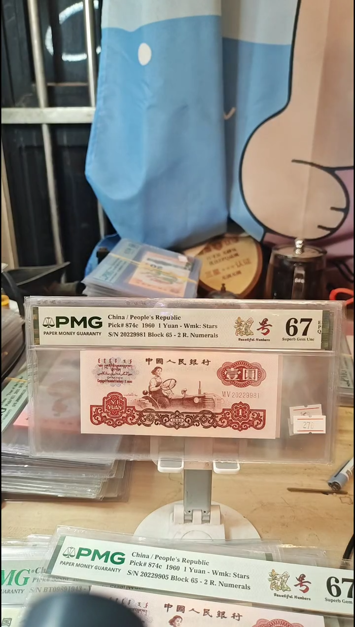 宝石红+白星王+幸运树67分朦胧号！！