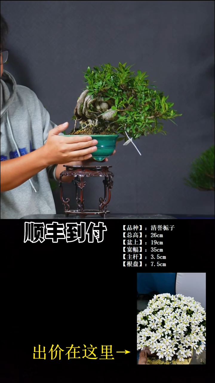 以实际为准清誉栀子buaboyou