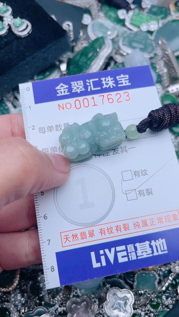 【闪购商品】翡翠颈饰未镶嵌17623.....1