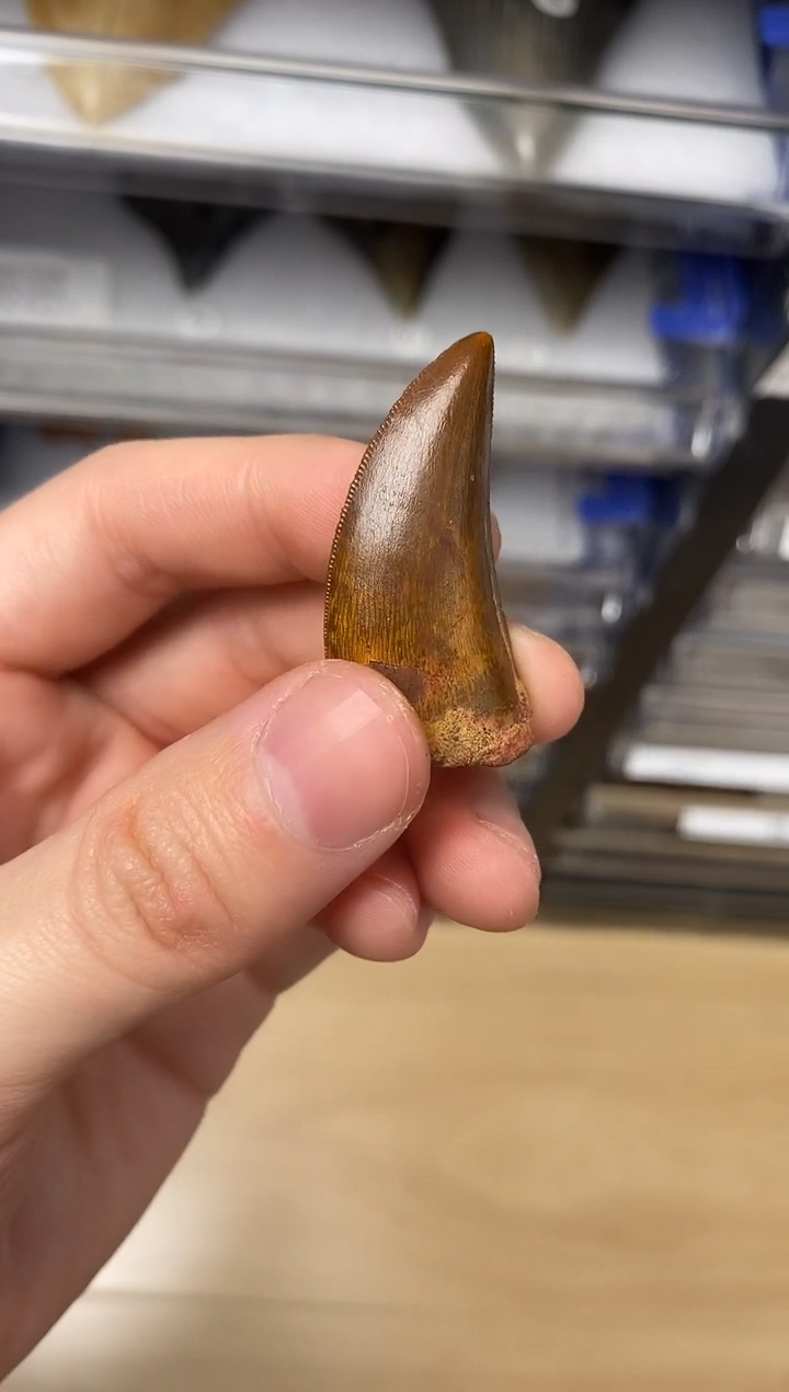 精美摆件创意礼物家居配饰新年礼物个人收藏