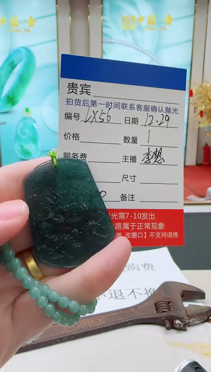 未镶嵌定制翡翠LX56翡翠吊坠赠珠链-多样性发其一