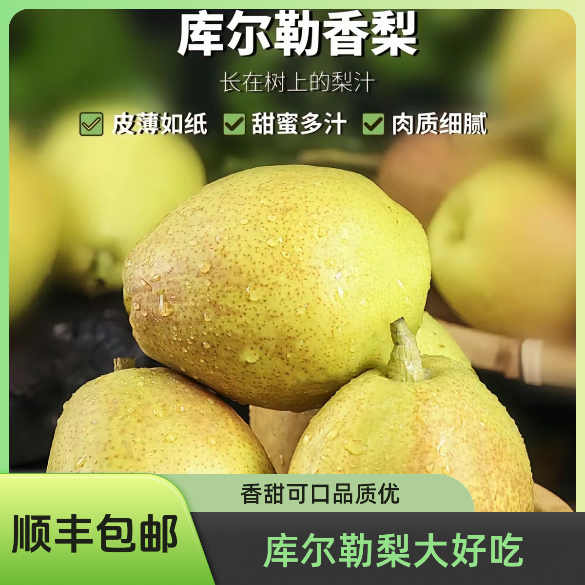 新疆库尔勒香梨 5斤