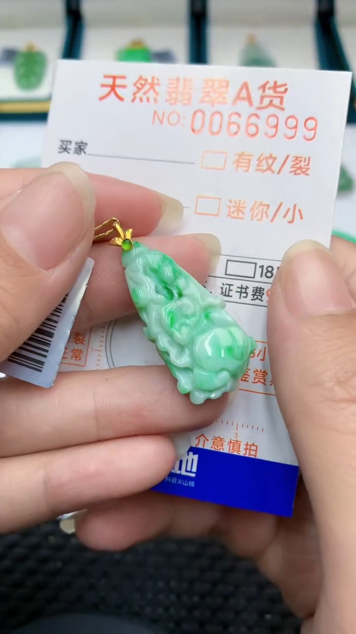 【闪购商品】翡翠颈饰18K金镶嵌            8