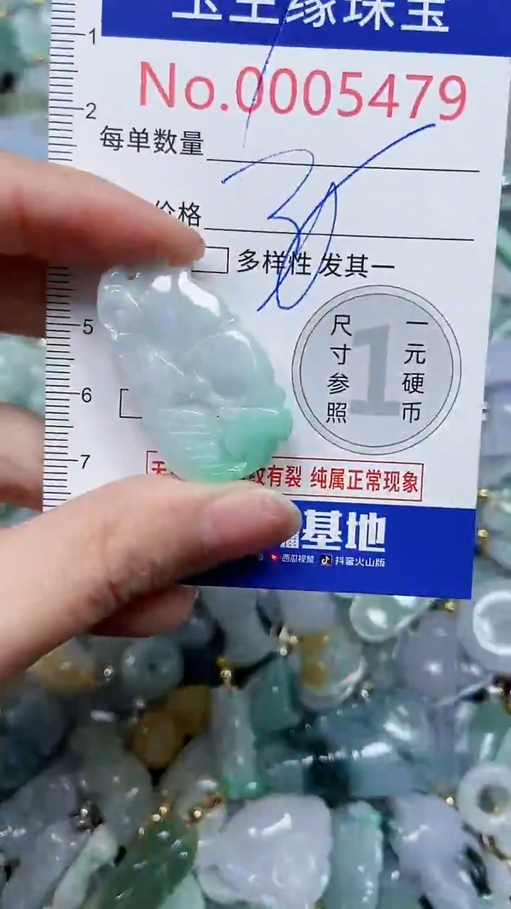 【闪购商品】翡翠颈饰未镶嵌闪购5479