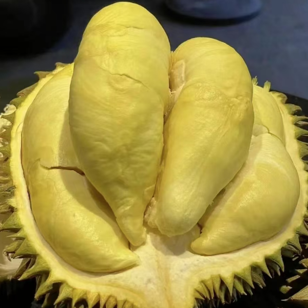 3-9斤树熟金枕鲜榴莲软糯香甜核小金枕泰国