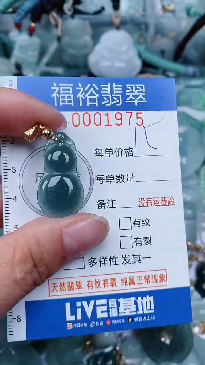 【闪购商品】翡翠颈饰未镶嵌...0001975