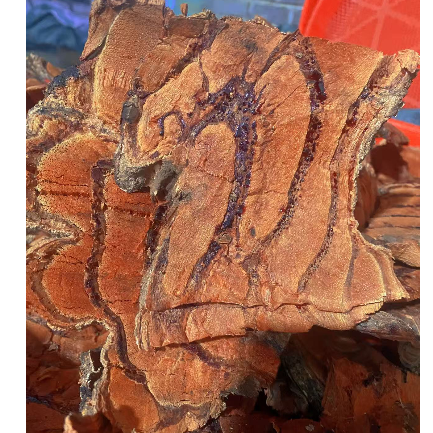 百年鸡血藤干片（手工切）