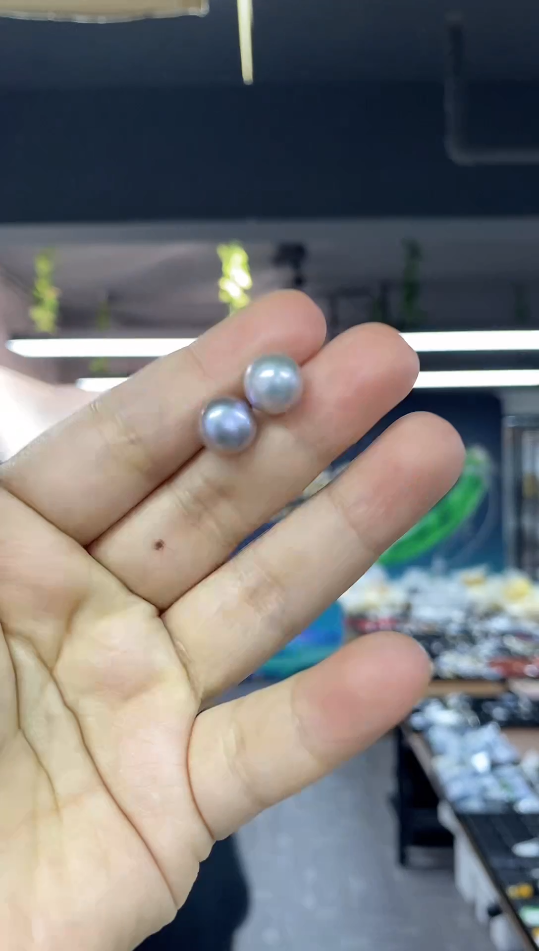 银S925镶嵌耳饰淡水珍珠多样性发其一颜色微差