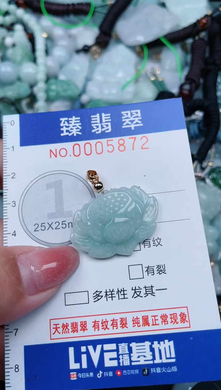 【闪购商品】翡翠颈饰未镶嵌.0005872