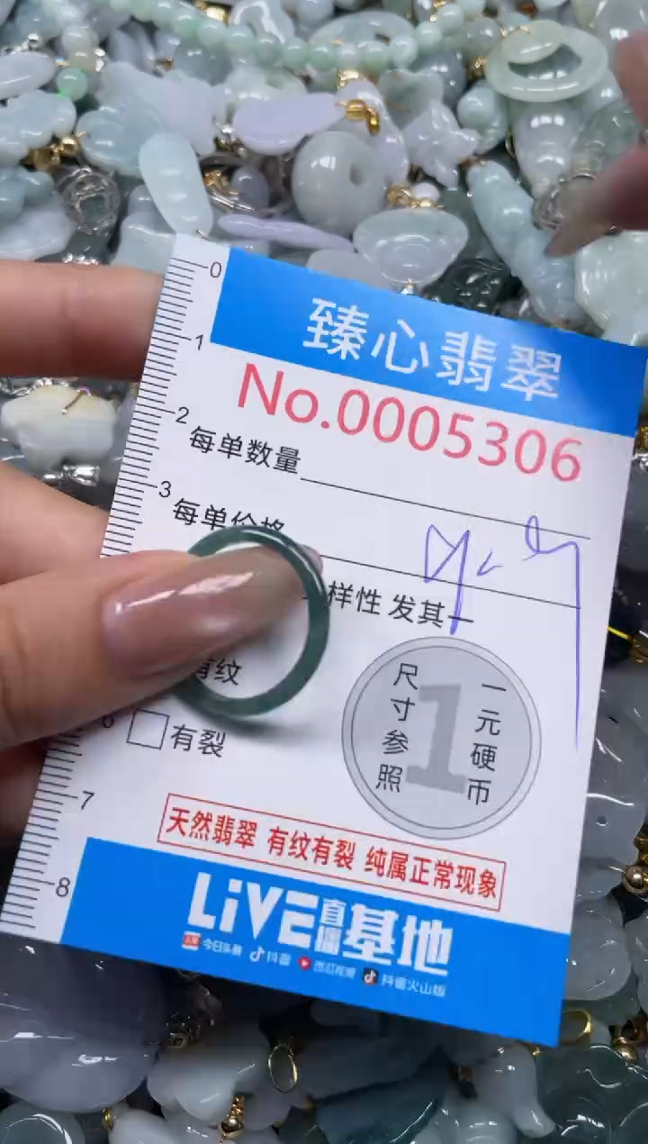 颈饰未镶嵌翡翠5306