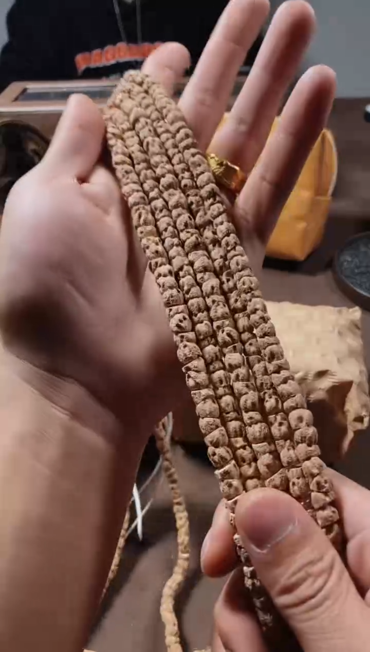 手串柏香籽/百香籽【天策出品】-- 粉皮大肠