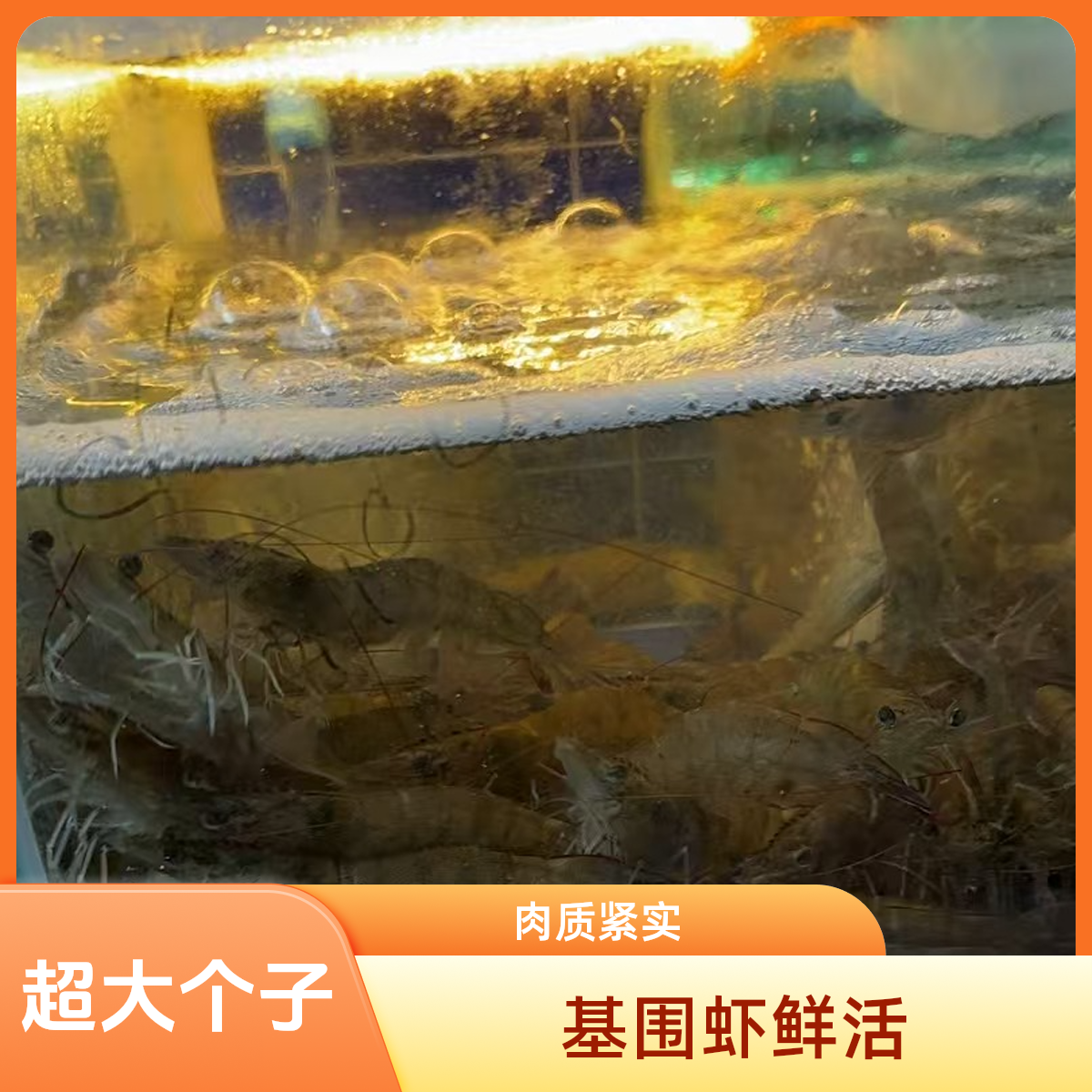 基围虾（运输过程中导致部分缺氧，介意勿拍）