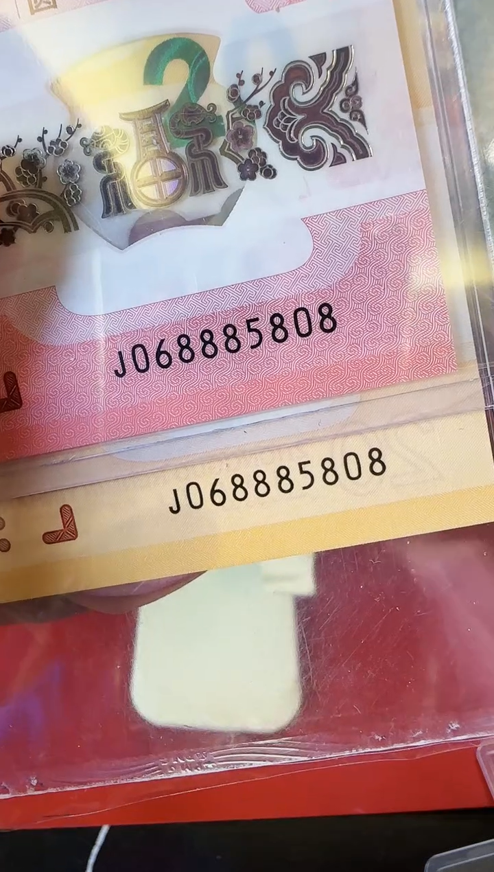 【闪购商品】塑料2024龙蛇钞全同号啊啊啊啊啊裸