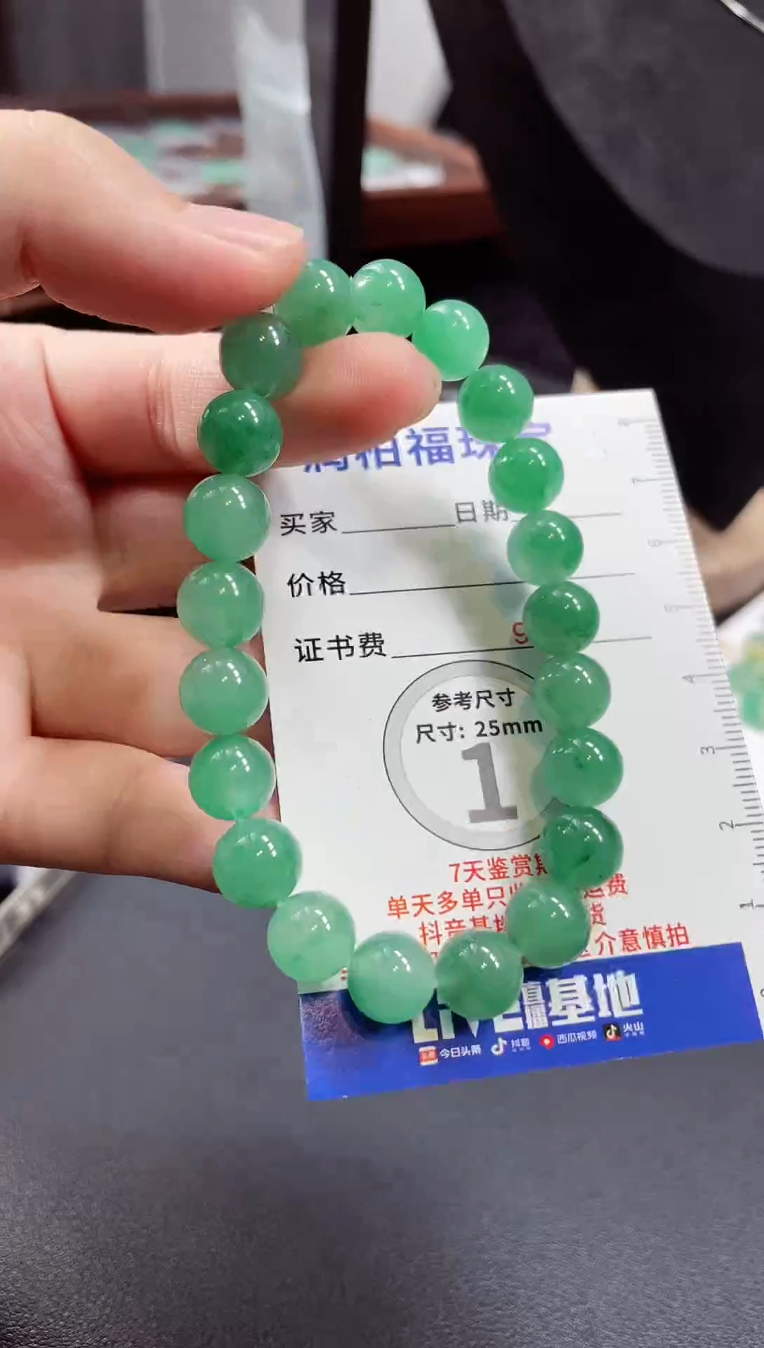 吊坠(赠链)未镶嵌石英质玉（非洲翠）6.34手串