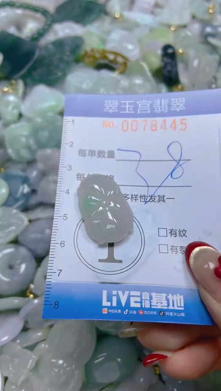 【闪购商品】翡翠颈饰未镶嵌闪购0078445