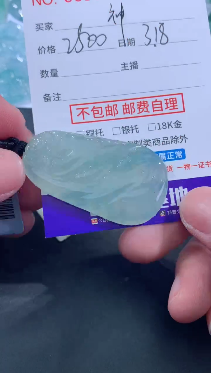 【闪购商品】翡翠未镶嵌颈饰神