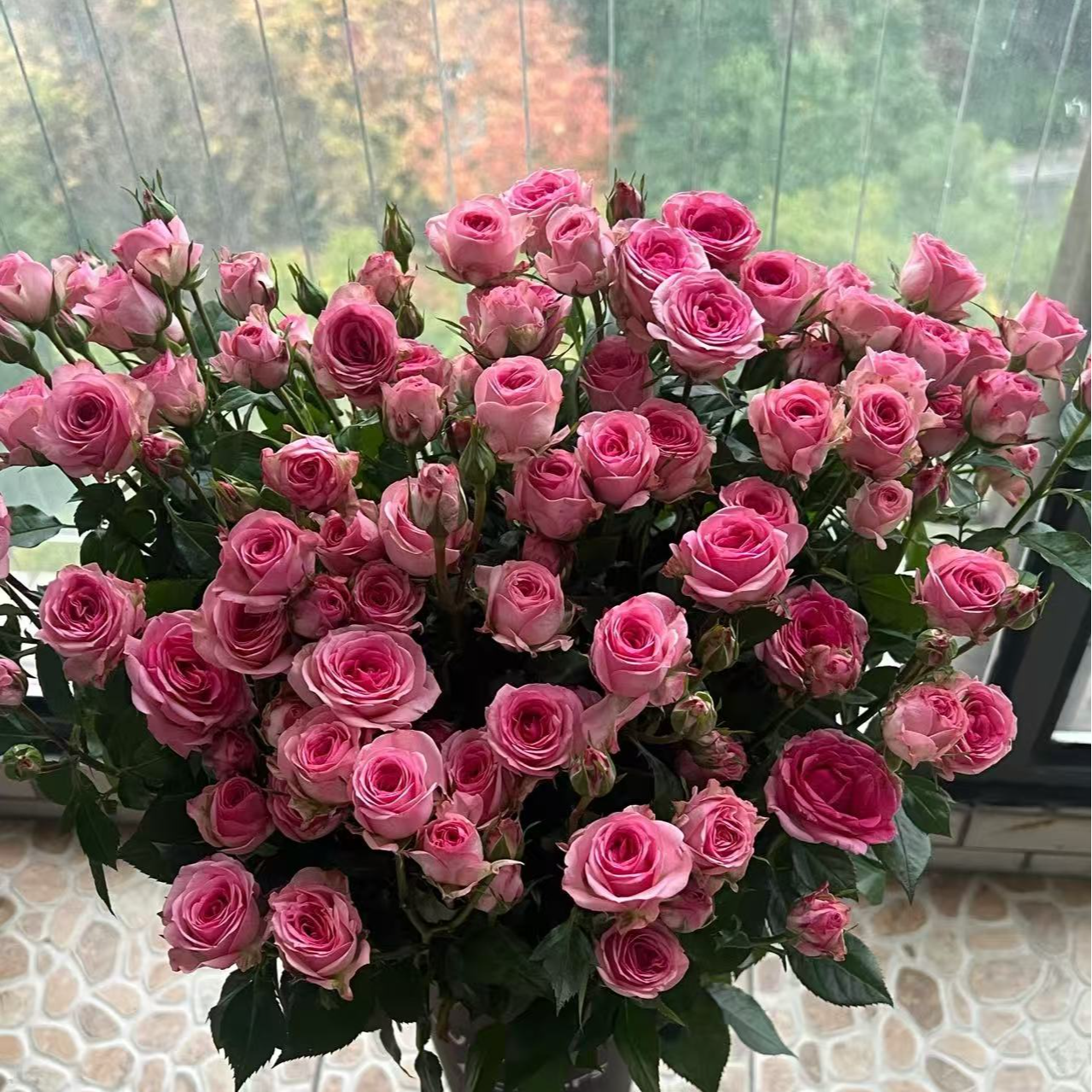 多头花间小樱玫瑰-云南鲜花玫瑰-收到花第一时间醒花