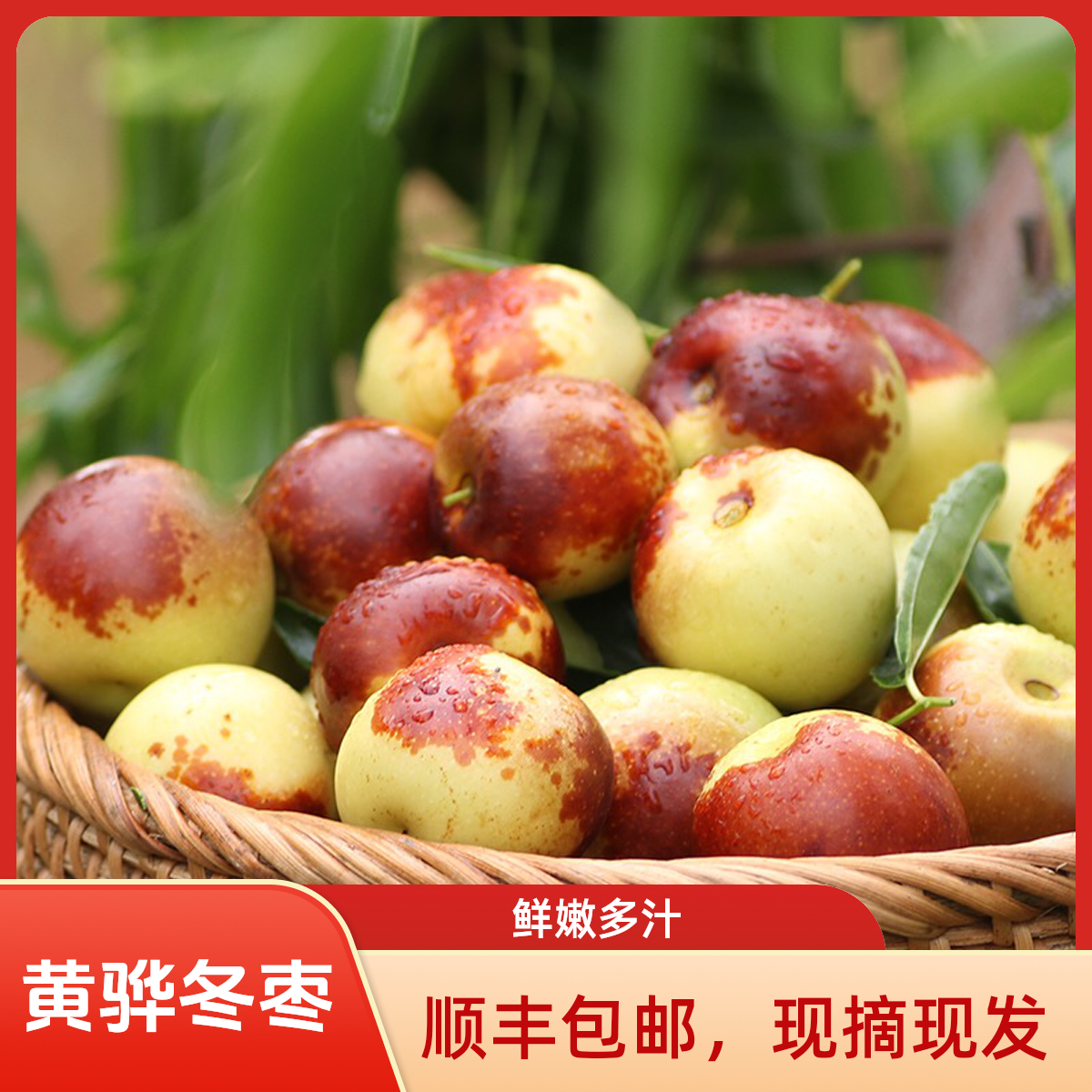 [顺丰包邮]河北黄骅冬枣现摘现发鲜甘甜多汁3斤5斤装包邮皮薄肉厚