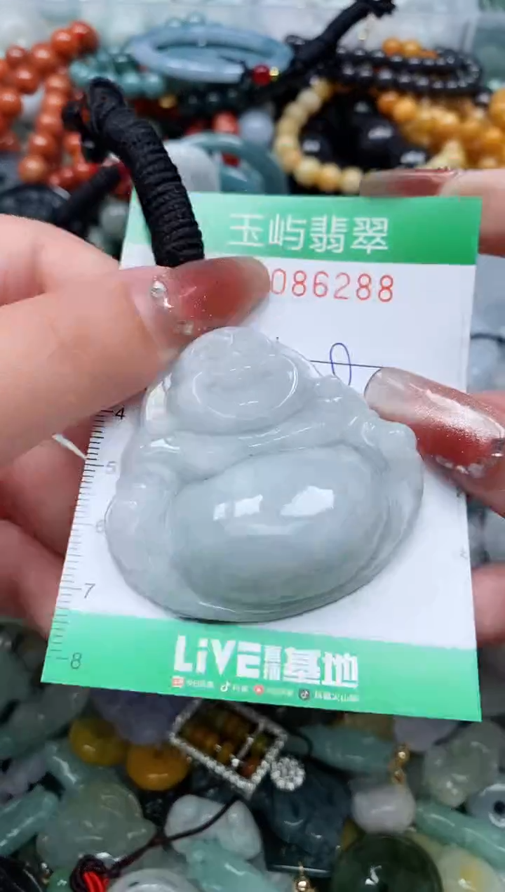 【闪购商品】翡翠颈饰未镶嵌闪购0086288