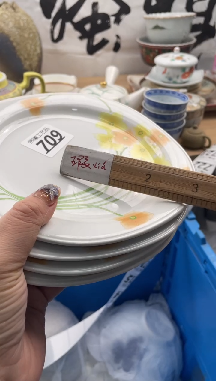 【闪购商品】瓷片709