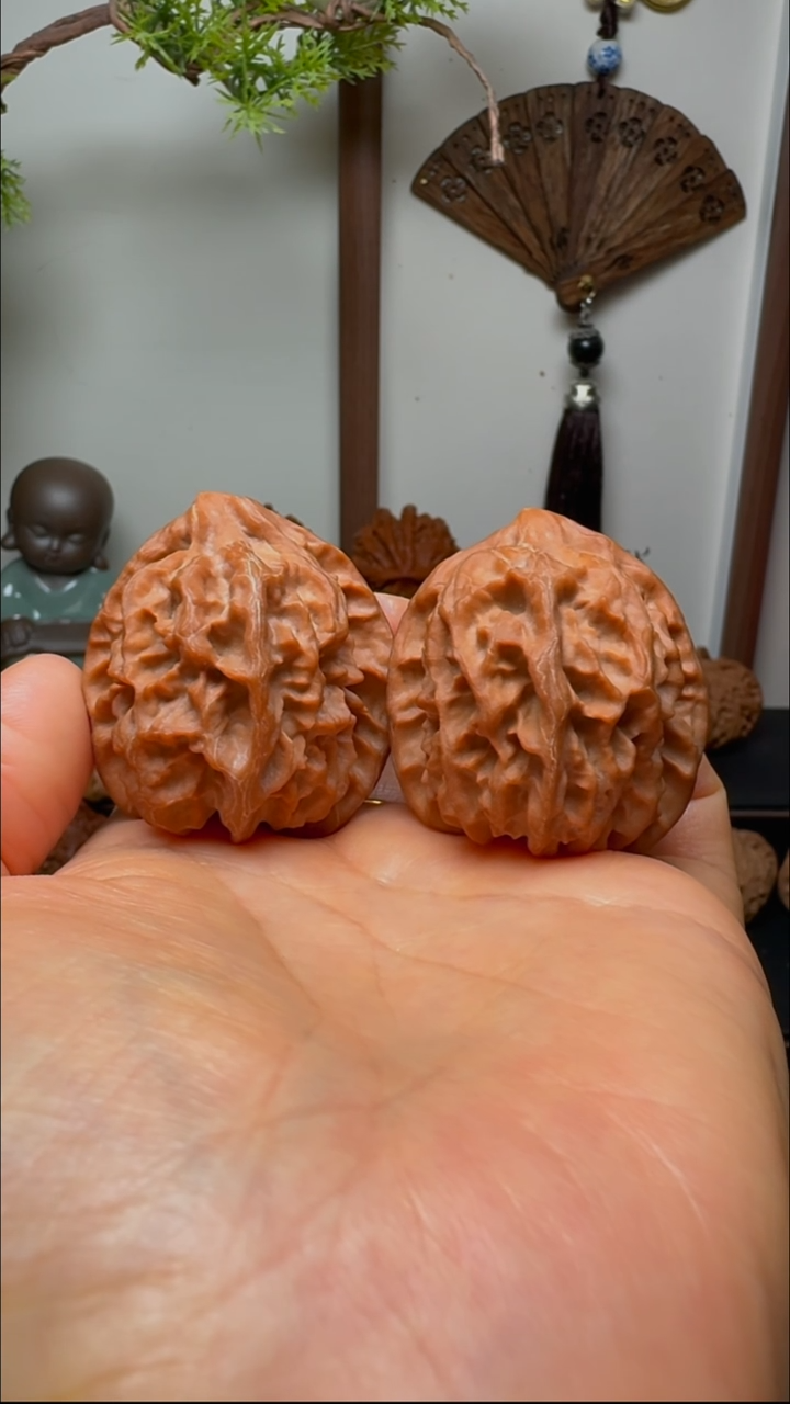 把件文玩核桃曹大龙鹰嘴异形货头 肚40