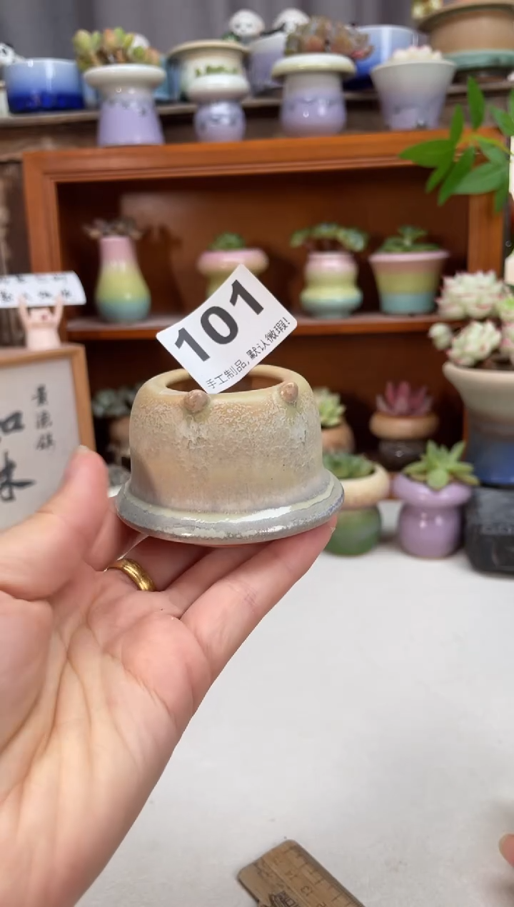 瓷片101知木小芳你花盆