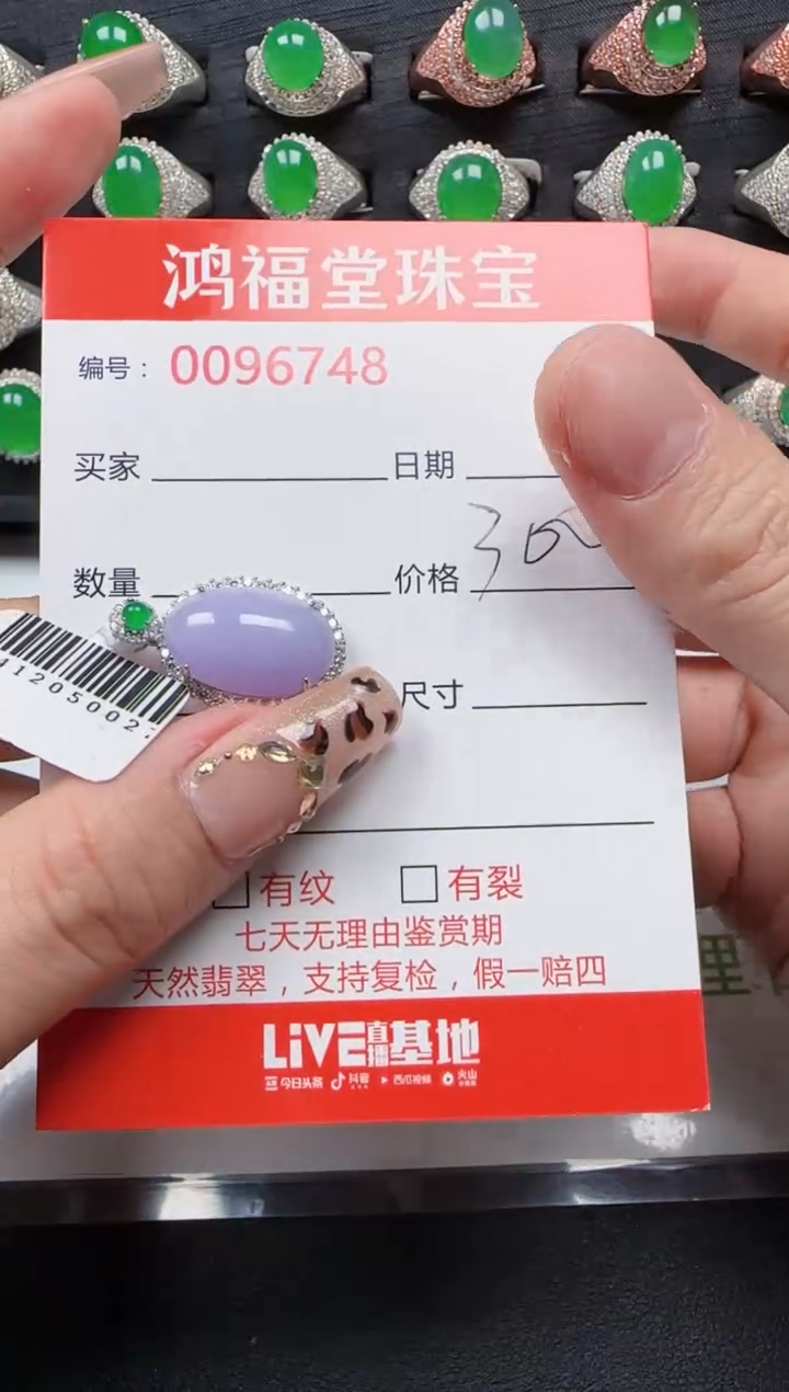 【闪购商品】翡翠颈饰银S925镶嵌6748